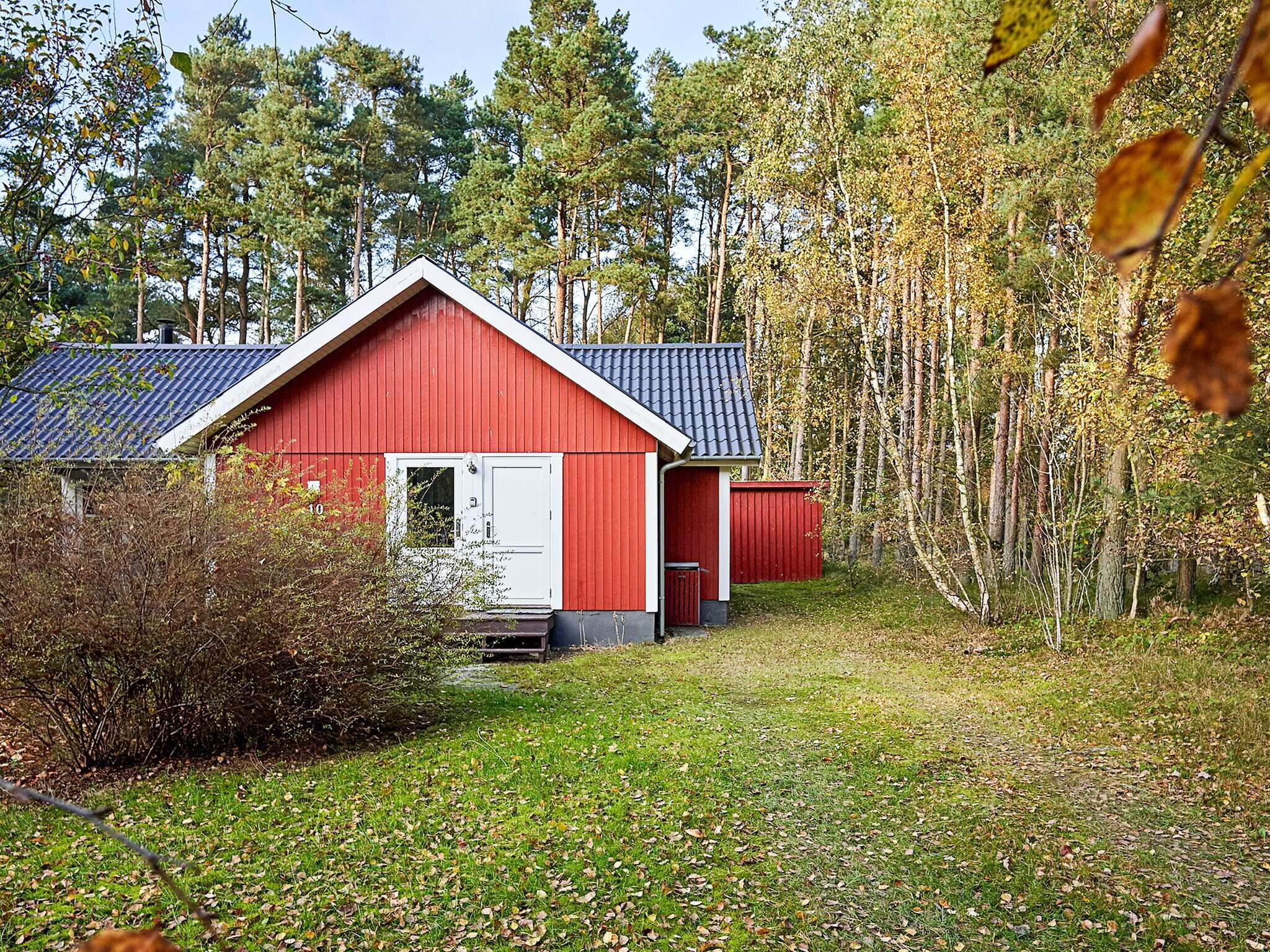 Images 6 person feriebolig i Aakirkeby- Dancenter