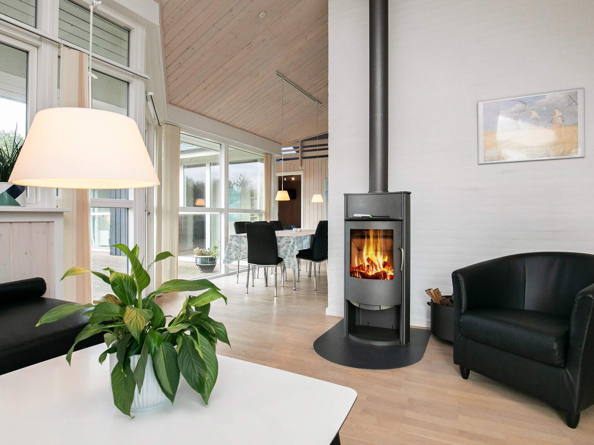 Images 8 person feriebolig i Ã…lbÃ¦k- Dancenter