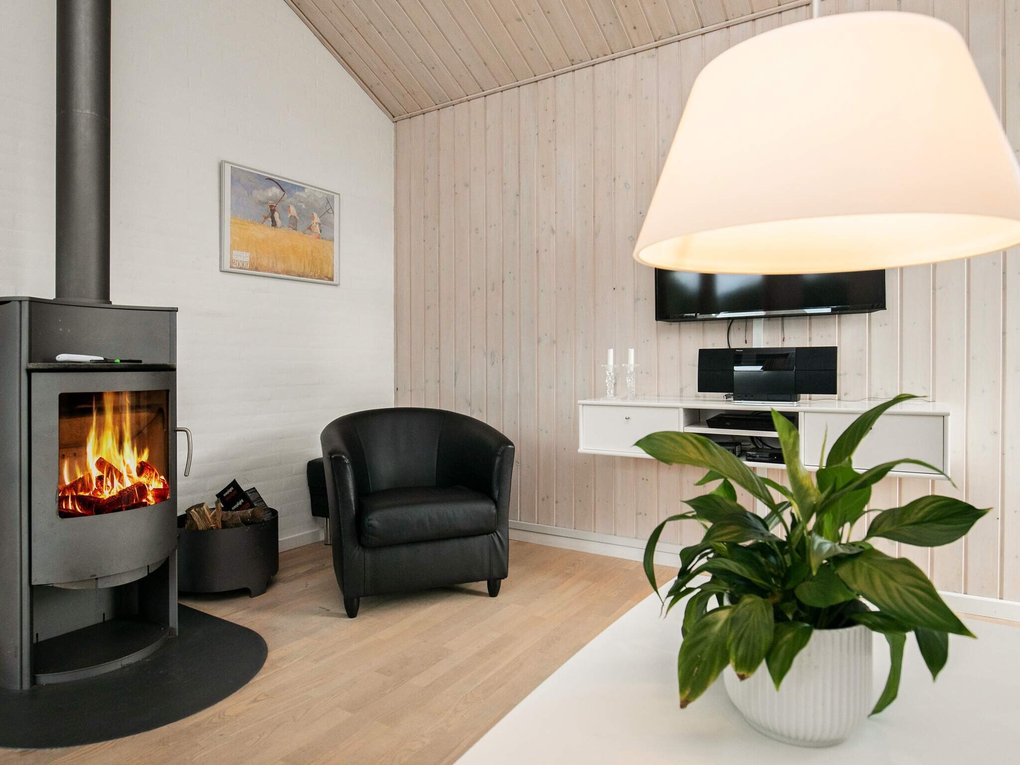 Images 8 person feriebolig i Ã…lbÃ¦k- Dancenter