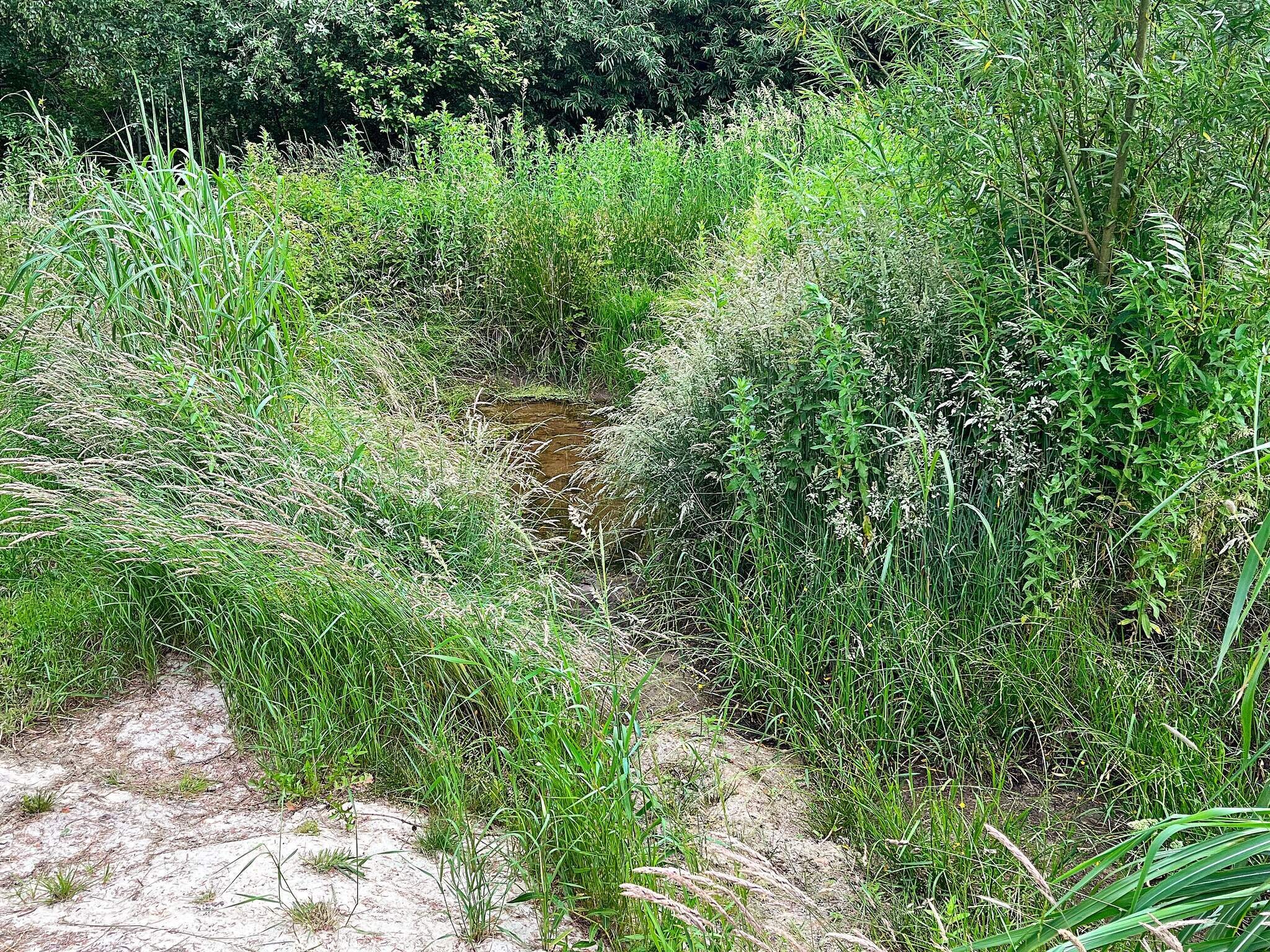 Images 10 person feriebolig i Vinderup- Dancenter