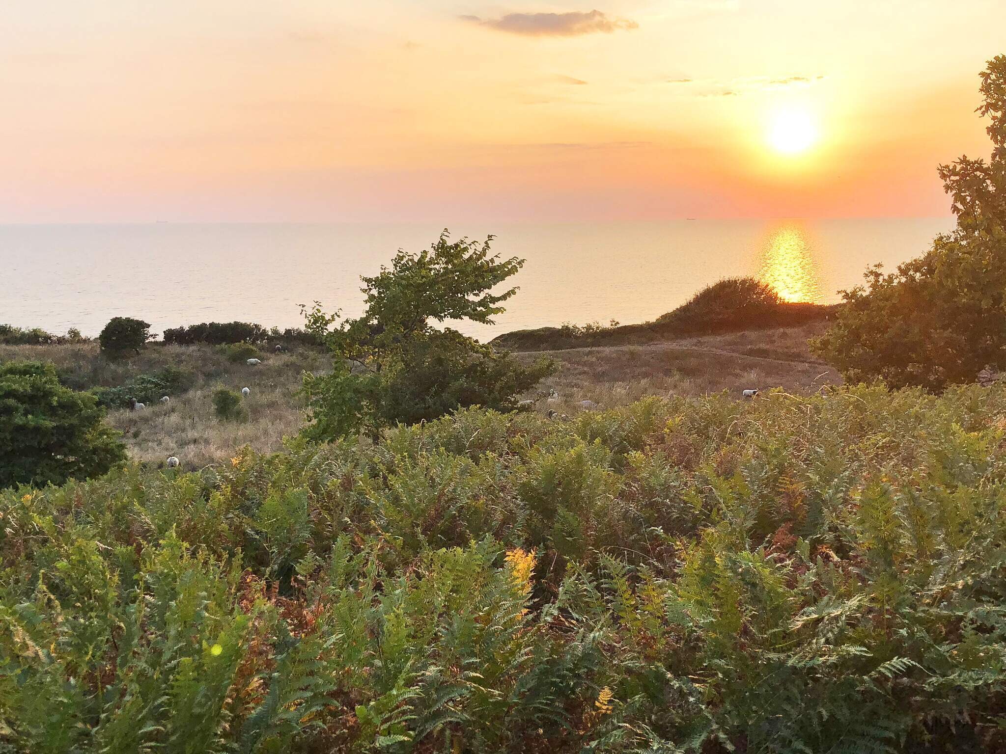 Images 4 person feriebolig i Allinge- Dancenter