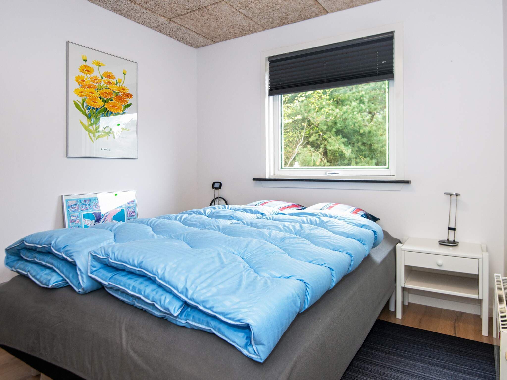 Images 8 person feriebolig i Hemmet- Dancenter