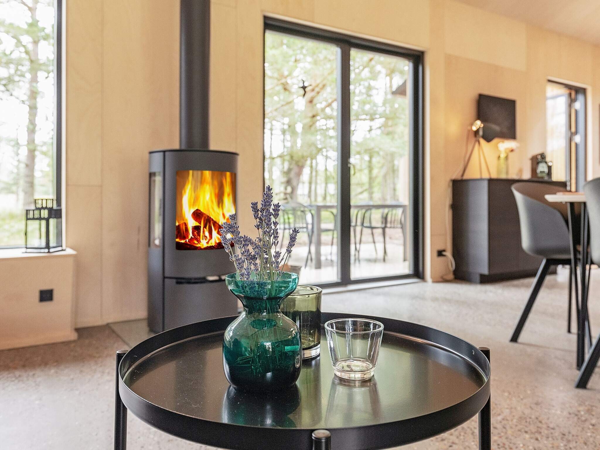 Images 8 person feriebolig i Ã…lbÃ¦k- Dancenter