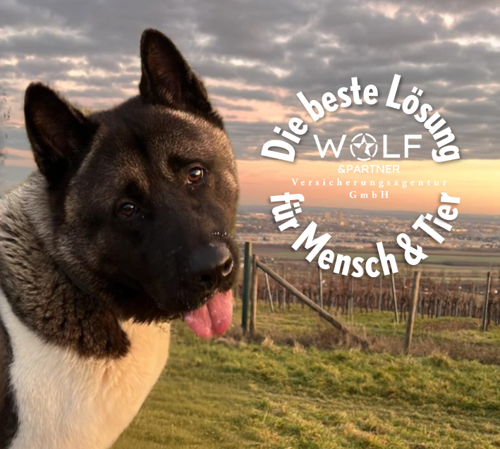 Bild 1 von UNIQA GeneralAgentur Wolf & Partner